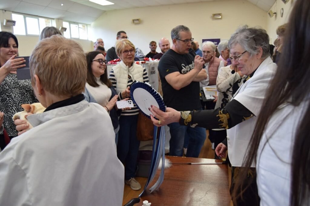 Exhibitor receiving a rosette and award plate at a GCCF cat show Best in Show