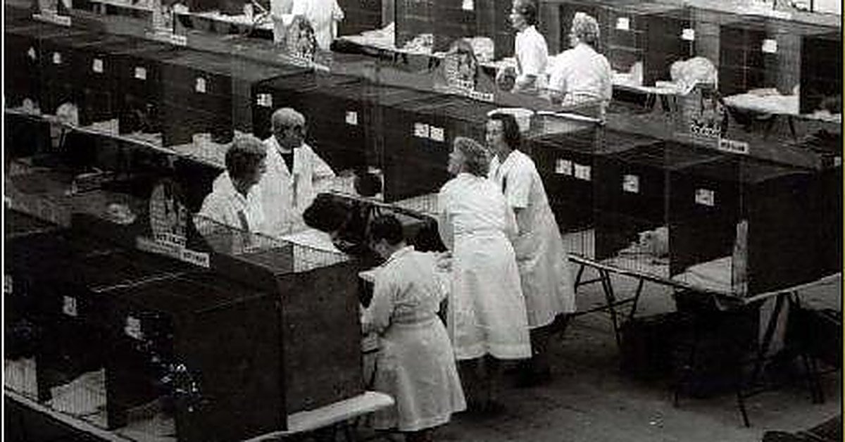 A vintage photograph of a UK cat show, with Siamese among the exhibits